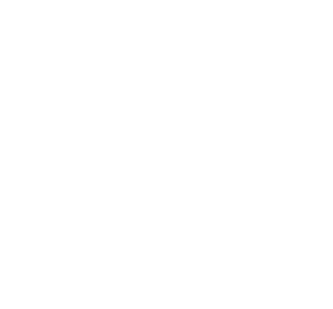 Bangkok Premiums - Logo-02